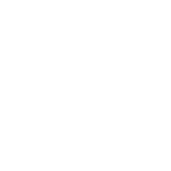 Topido